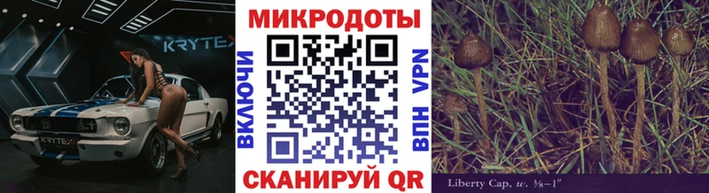 Купить закладки  Северская  Псилоцибиновые грибы Psilocybe 